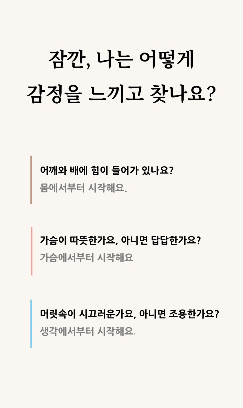 규칙 뒷면